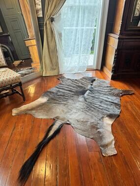 Wildebeest Blue Male Authentic South African Hide Rug With Tail